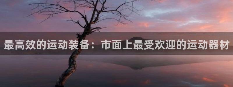 球王会体育官网下载平台APP：最高效的运动装备：市面上最受欢