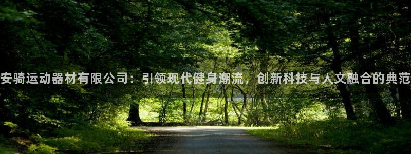 球王会体育官方正版app娱乐平台：安骑运动器材有限公司：引领