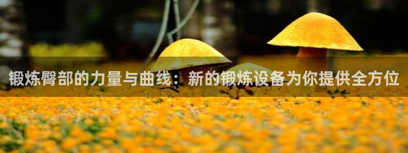 球王会体育官网下载官方客服电话：锻炼臀部的力量与曲线：新的锻