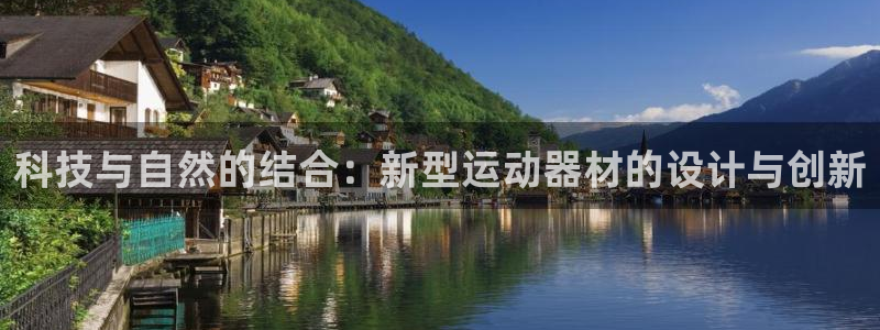 球王会体育官方正版app代理