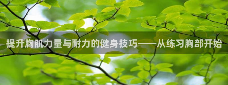 球王会体育官方正版app娱乐